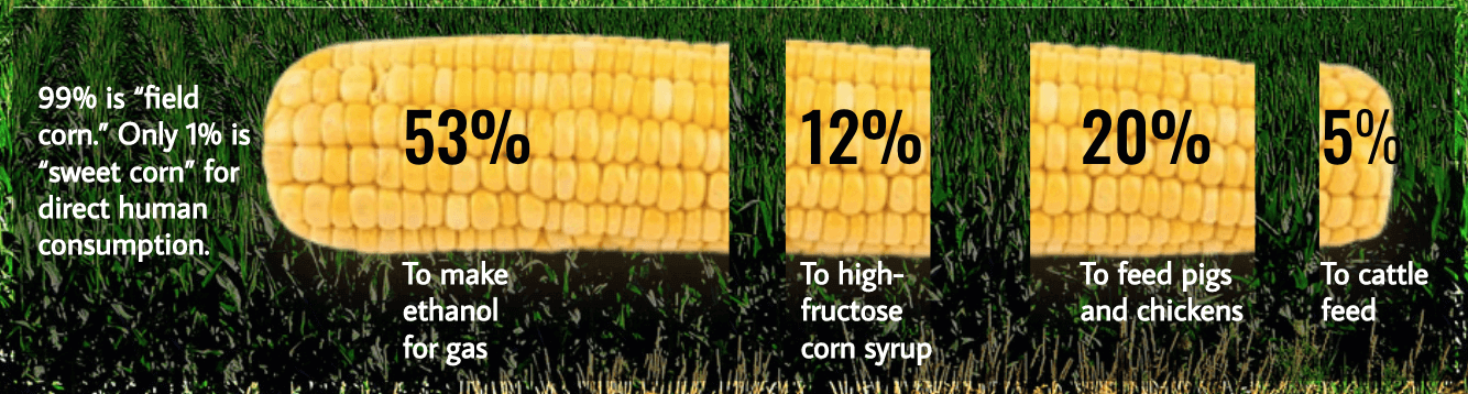 corn usage by percent