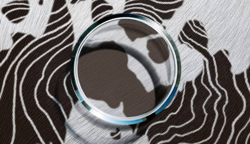 A magnifying glass over a cow pattern