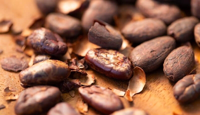 Cocoa beans / shells